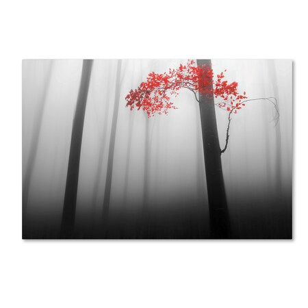 Trademark Fine Art Dragisa Petrovic 'Illusion' Canvas Art, 30x47 1X02626-C3047GG